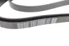 Ремень поликлин. (пр-во DAYCO) Dayco 6PK2225 (фото 3)