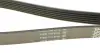 Ремень поликлин. (пр-во DAYCO) dayco 6PK2263