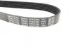 Ремень поликлин. (пр-во DAYCO) dayco 6PK2285