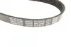 Ремень поликлин. (пр-во DAYCO) Dayco 6PK2345 (фото 2)