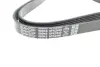 Ремень поликлин. (пр-во DAYCO) dayco 6PK2440