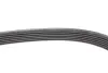 Ремень поликлин. (пр-во DAYCO) dayco 6PK2440