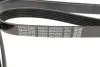 Ремень поликлин. (пр-во DAYCO) Dayco 6PK2525 (фото 3)