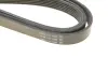 Ремень поликлин. (пр-во DAYCO) dayco 6PK2550