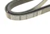 Ремень поликлин. (пр-во DAYCO) dayco 6PK2550