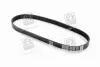 Ремень поликлин. (пр-во DAYCO) Dayco 6PK825 (фото 1)