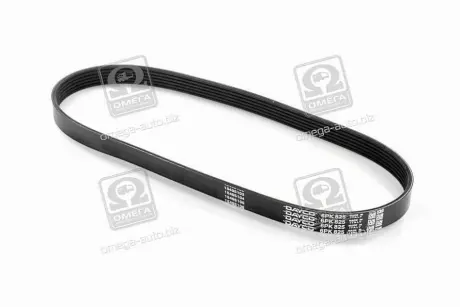 Ремень поликлин. (пр-во DAYCO) dayco 6PK825
