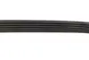 Ремень поликлин. (пр-во DAYCO) dayco 6PK853