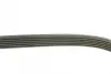 Ремень поликлин. (пр-во DAYCO) dayco 6PK870
