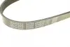 Ремень поликлин. (пр-во DAYCO) dayco 6PK870