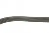 Ремень поликлин. (пр-во DAYCO) dayco 6PK873EE