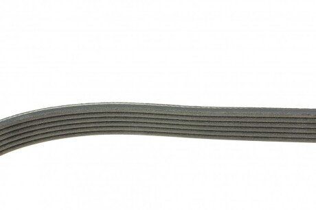 Привідний ремінь генератора dayco 6PK873EE