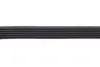 Ремень поликлин. (пр-во DAYCO) dayco 6PK875
