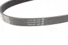 Ремень поликлин. (пр-во DAYCO) dayco 6PK894