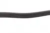 Ремень поликлин. (пр-во DAYCO) dayco 6PK894