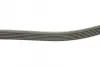 Ремень поликлин. (пр-во DAYCO) dayco 6PK906