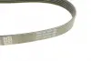 Ремень поликлин. (пр-во DAYCO) dayco 6PK906