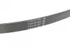 Ремень поликлин. (пр-во DAYCO) Dayco 6PK915 (фото 3)