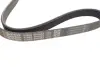 Ремень поликлин. (пр-во DAYCO) dayco 6PK962