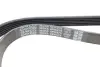 Ремень поликлин. (пр-во DAYCO) dayco 6PK975