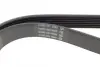 Ремень поликлин. (пр-во DAYCO) Dayco 7PK1115 (фото 3)