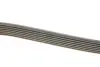 Ремень поликлин. (пр-во DAYCO) dayco 7PK1605