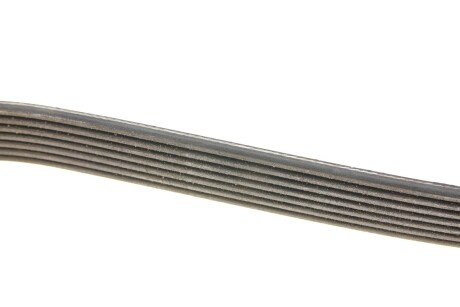 Привідний ремінь генератора dayco 7PK1605