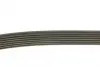 Ремень поликлин. (пр-во DAYCO) dayco 7PK1750