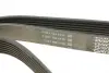 Ремень поликлин. (пр-во DAYCO) dayco 7PK1790
