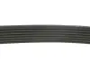 Ремень поликлин. (пр-во DAYCO) dayco 7PK2872