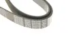 Ремень поликлин. (пр-во DAYCO) dayco 8PK2190