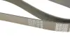 Ремень поликлин. (пр-во DAYCO) dayco 8PK2190