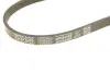 Ремень поликлиновой dayco 4PK844EE
