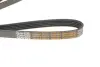 Ремень поликлиновой Dayco 5PK1025HD (фото 3)
