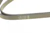 Ремень поликлиновой dayco 5PK1815