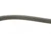 Ремень поликлиновой dayco 5PK1815
