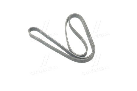 Привідний ремінь генератора dayco 6DPK1825