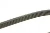 Ремень поликлиновой dayco 6PK1381