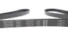 Ремень поликлиновой Dayco 6PK2175 (фото 4)