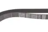 Ремень поликлиновой Dayco 6PK2576S (фото 4)