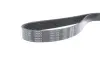 Ремень поликлиновой dayco 7PK1370