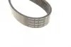 Ремень поликлиновой Dayco 7PK1687S (фото 2)