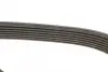 Ремень поликлиновой Dayco 7PK1687S (фото 3)