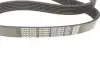 Ремень поликлиновой Dayco 7PK1687S (фото 4)