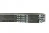 Ремень поликлиновой Dayco 7PK2711 (фото 3)
