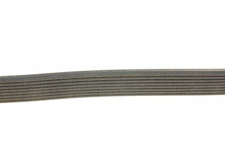 Привідний ремінь генератора dayco 8PK2317HD