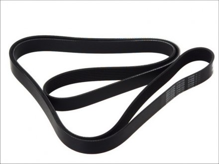 Привідний ремінь генератора dayco 8PK2555HD