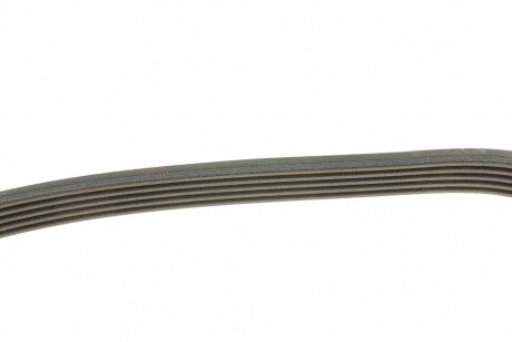 Ремень поликлиновой dayco 5PK1000