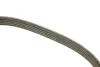Ремень поликлиновой Dayco 5PK1010 (фото 3)