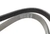 Ремень поликлиновой dayco 5PK1360